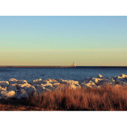 Fantastic Cotton Bottle pt-PT